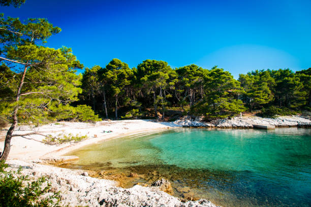 istock regatta in a bay in Croatia 685948516