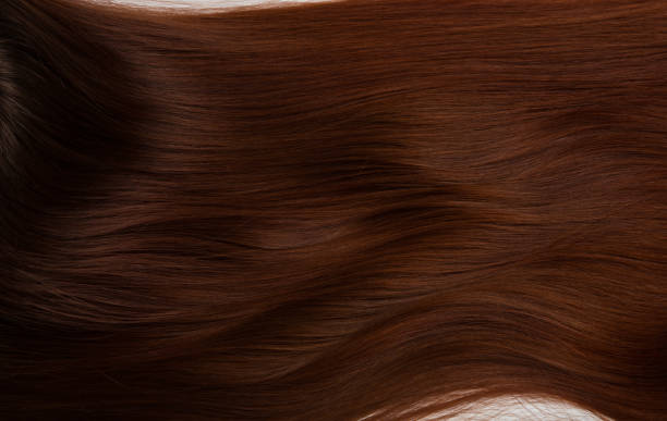 istock Texture of hair 685954704