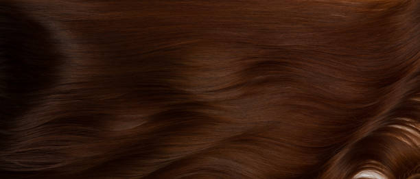 istock Texture of hair 685954742
