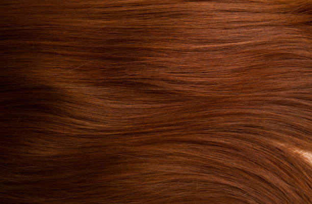 istock Texture of hair 685954784
