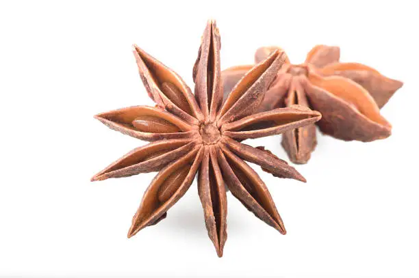 Star anise spice fruits and seeds on white