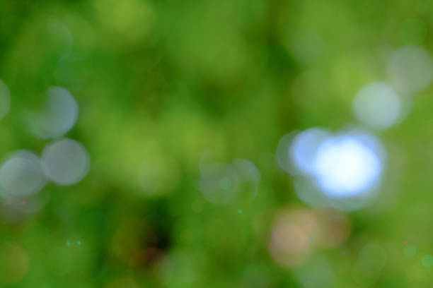 istock green bokeh out of focus background 685964876