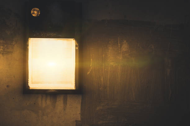 istock lamps on walkway at the garden in night 685967638