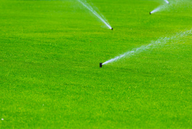 istock Lawn sprinkler spaying water over green grass. Irrigation system. 685986746