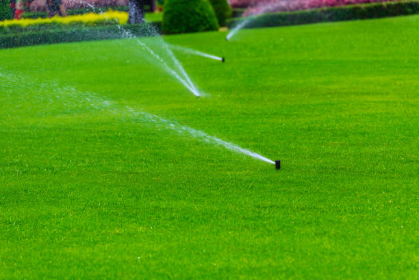 istock Lawn sprinkler spaying water over green grass. Irrigation system. 685988598