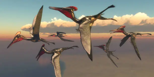 A flock of Pterodactylus Pterosaurs fly out to the ocean to hunt for fish in the Jurassic Period.