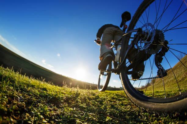 istock Young Cyclist riding on the Beautiful Meadow Trail on sunny day 686023292