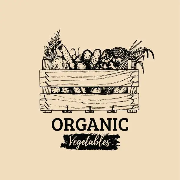 Vector illustration of Vector organic vegetables label. Farm eco products illustration. Hand sketched wooden box with greens.