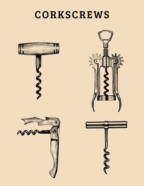 Hand drawn vector corkscrews set. Retro illustrations collection of different spins in sketch style.