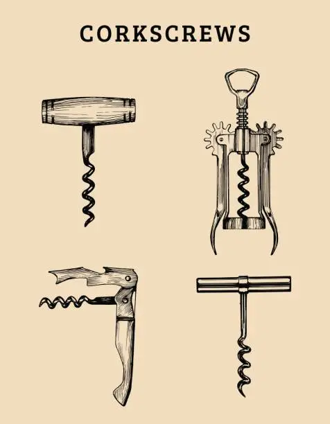 Vector illustration of Hand drawn vector corkscrews set. Retro illustrations collection of different spins in sketch style.