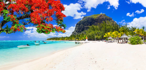 Beautiful beaches of sunny Mauritius island. Tropical vacations stock photo