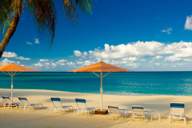 istock Parasols And Sun Loungers 686048722