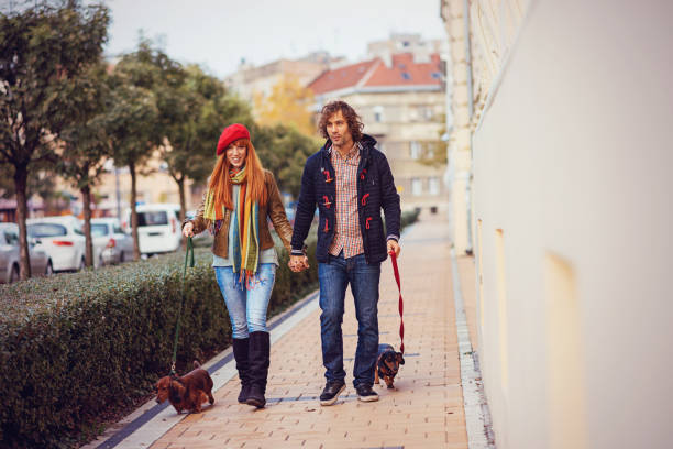 istock Couple walking their dogs together 686053976