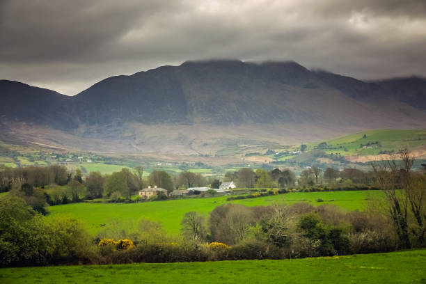 istock Farmland landscape in Ireland 686071144