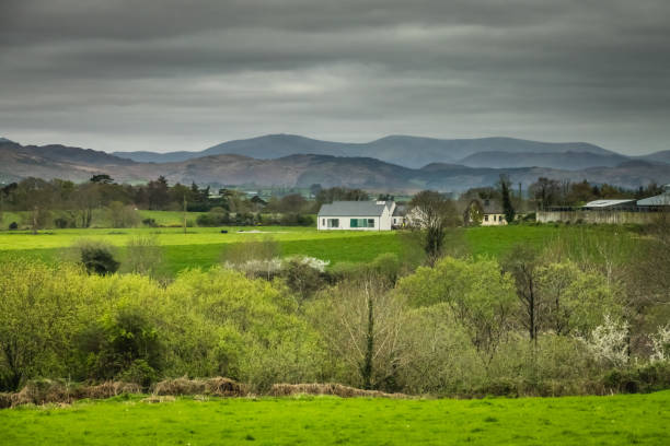 istock Farmland landscape in Ireland 686071412