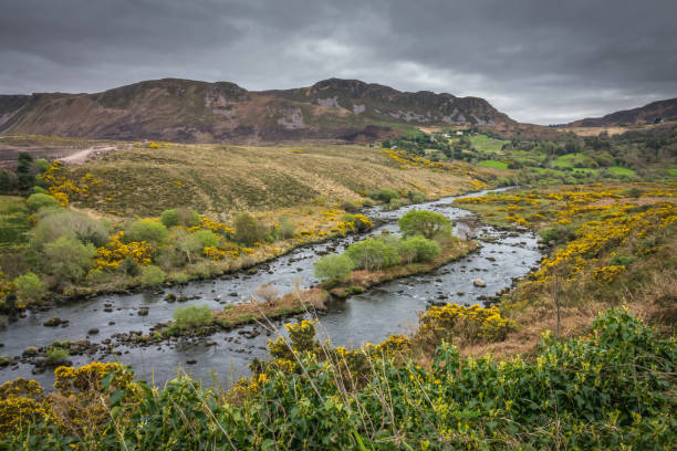 istock Beautiful rural Irish landscape 686071458