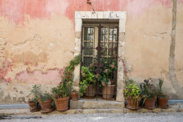 Blue door with flowers in Provence, France