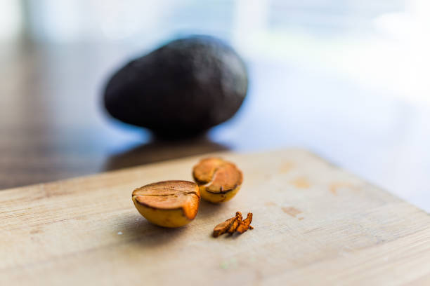 istock Avocado orange pit drying on wooden board 686074972