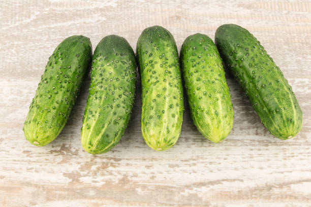 istock Cucumber on white wooden background close up. 686089146