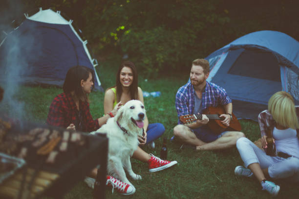 istock Friends on camping in nature with dog 686103256