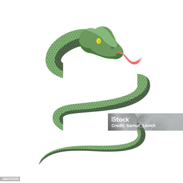 Snake Wraps Isolated Cobra On White Background Green Reptile Stock Illustration - Download Image Now