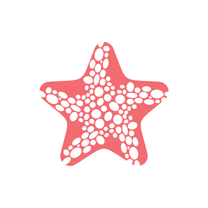 Starfish Isolated Sea Animals On White Background Aquatic Mollusk Star  Stock Illustration - Download Image Now - iStock