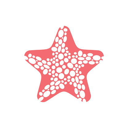Starfish Isolated Sea Animals On White Background Aquatic Mollusk Star Stock Illustration - Download Image Now - iStock Starfish Isolated Sea Animals On White Background Aquatic Mollusk Star Stock Illustration - Download Image Now - iStock