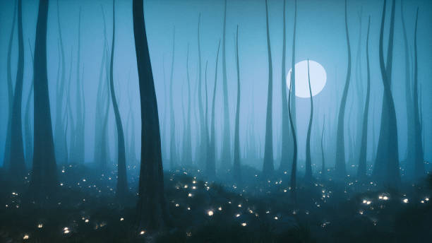 istock Mysterious fantasy night forest with full moon 686114956