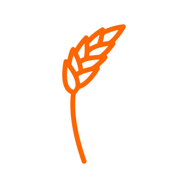 ilustrações, clipart, desenhos animados e ícones de ícone de linha de orelha de centeio. sinal de trigo para produção de pão e pastelaria. símbolo de agricultura - wheat whole wheat cereal plant rye