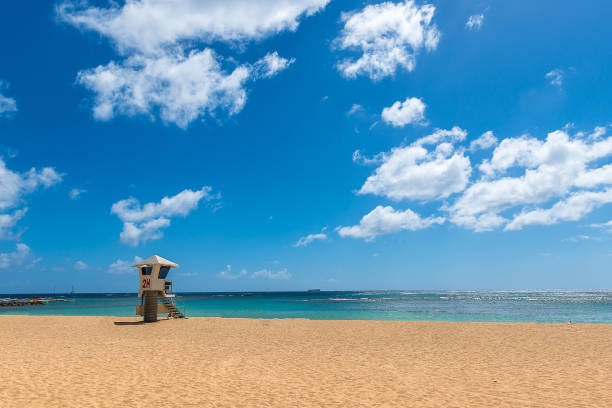 istock Beautiful beach in Hawaii 686139692