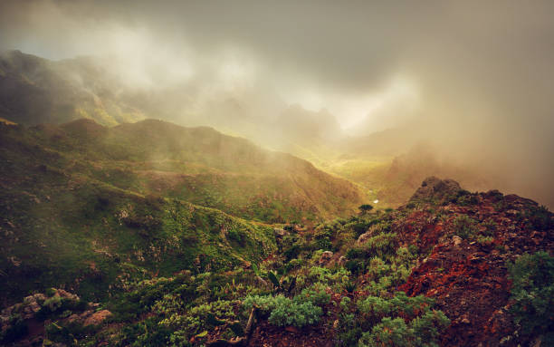 Teno mountains in the morning, Tenerife horizontal nature background in summer day  in the morning in Tenerife with Teno Mountains. teno mountains photos stock pictures, royalty-free photos & images