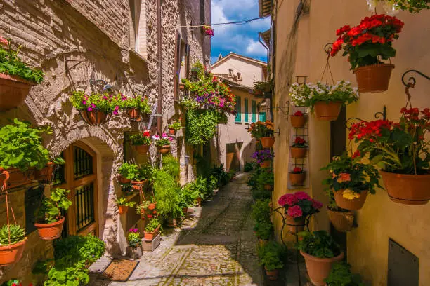 Spectacular colorful traditional italian medieval alley in the historic center of Spello
