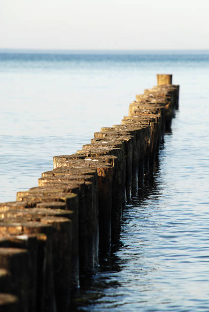 istock Beach scene in Kuehlungsborn, Germany 686181976