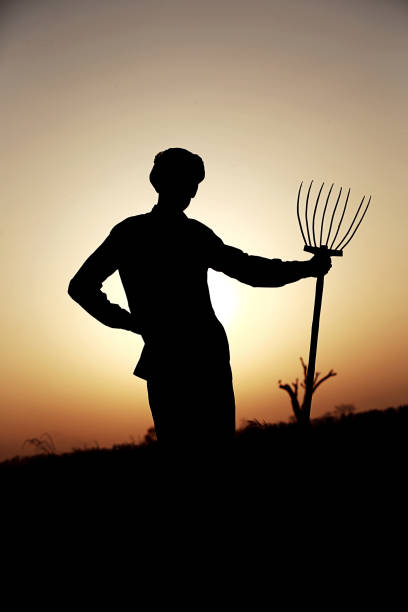 istock Farmer silhouette in the field 686198252