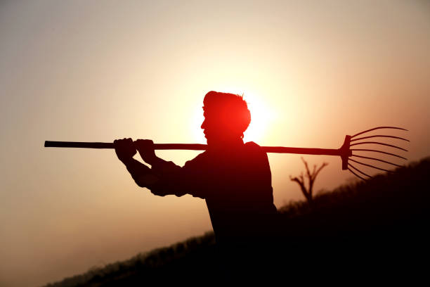 Farmer silhouette in the field