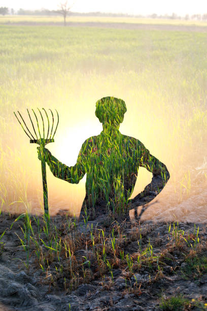 Farmer silhouette in the field
