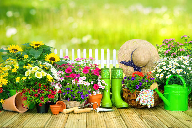istock Gardening tools and flowers on the terrace i 686199674