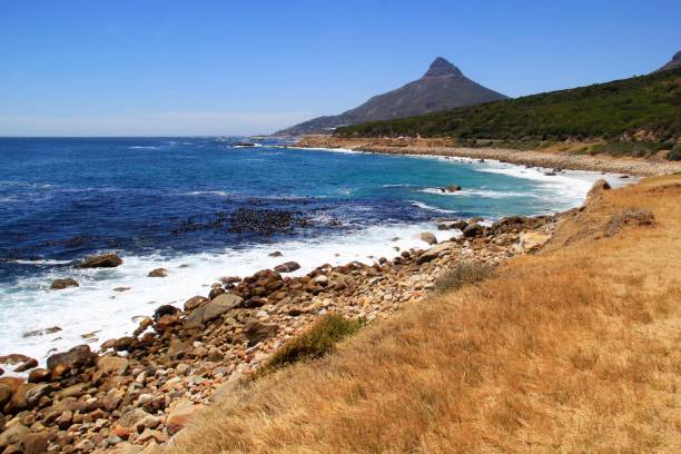 istock View of Lions Head along the coastal route 686208768