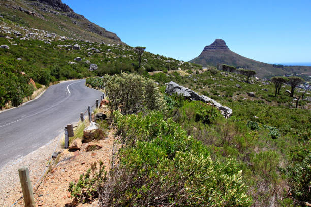 istock View of Lions Head along Table Mountain 686208884