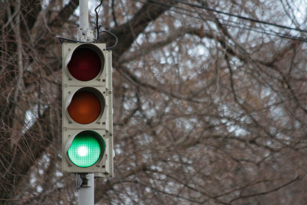 istock Traffic signal, green light 686215592