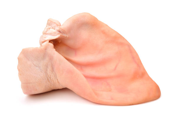 istock pork ears on pure white background 686215690