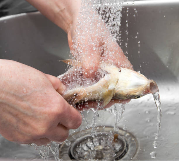 istock The cook washes the fish in the water 686216124