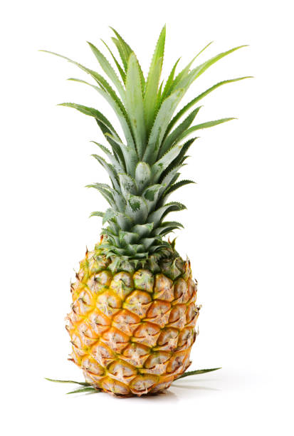 istock Pineapple, a Ripe, Fresh Fruit Food, Whole, Isolated on White 686221010