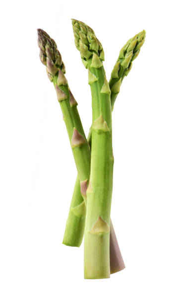 Vegetables: Asparagus Isolated on White Background Vegetables: Asparagus Isolated on White Background asparagus stock pictures, royalty-free photos & images