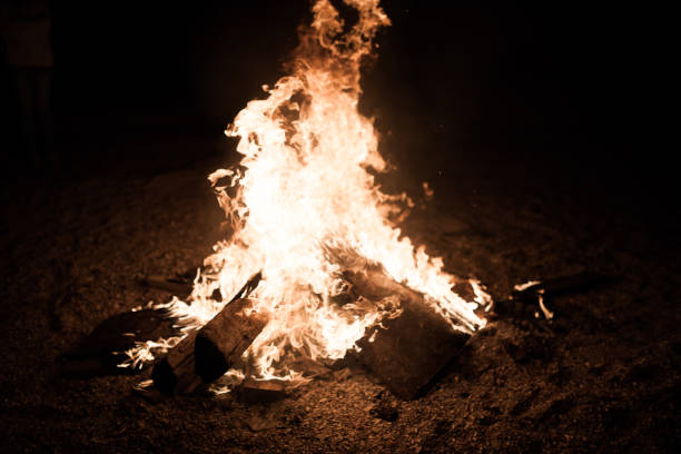 istock Burn fire with wood on beach camp  in Odessa 686228990