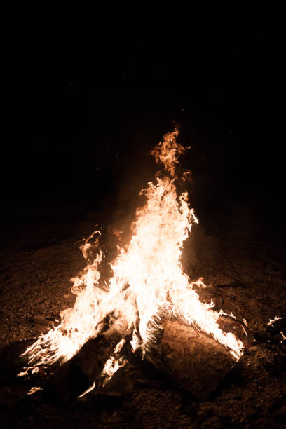 istock Burn fire with wood on beach camp  in Odessa 686228992