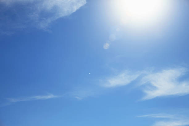 Birds in the sun against the sky