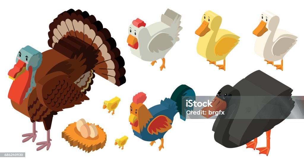 3D design for different types of farm birds 3D design for different types of farm birds illustration Above stock vector