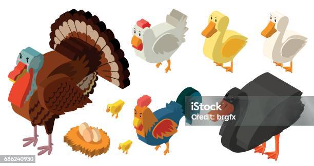 3d Design For Different Types Of Farm Birds Stock Illustration - Download Image Now - Above, Angle, Animal