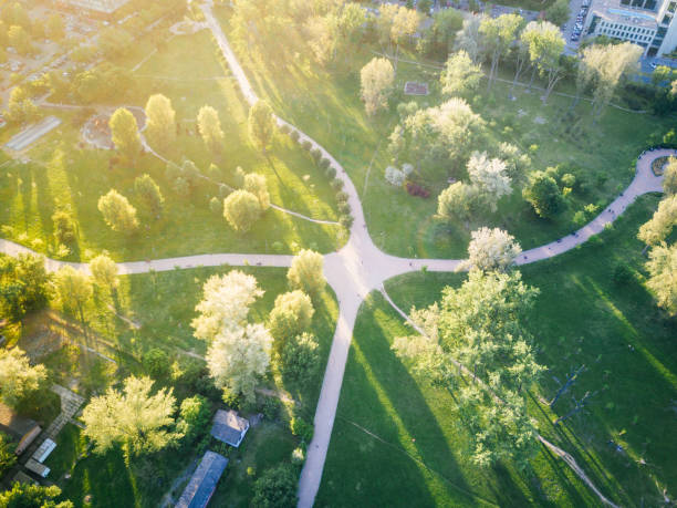 istock Summer afternoon in park seen from drone 686241354